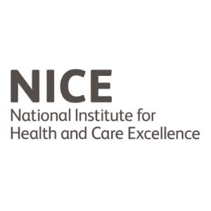 NICE Logo 300x300 pixels_3